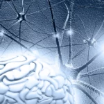 000H249GGP80BM62 C461